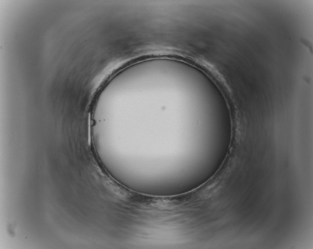 X0000103311175200809122045