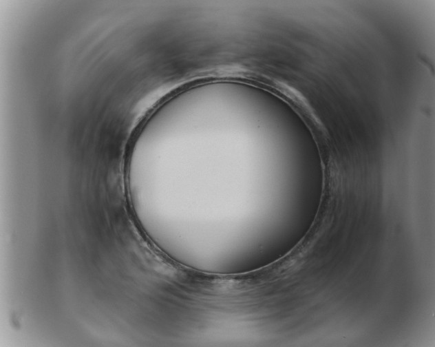 X0000103311176200809122045