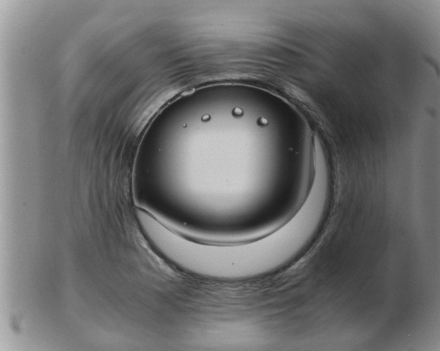 X0000103311177200809122045