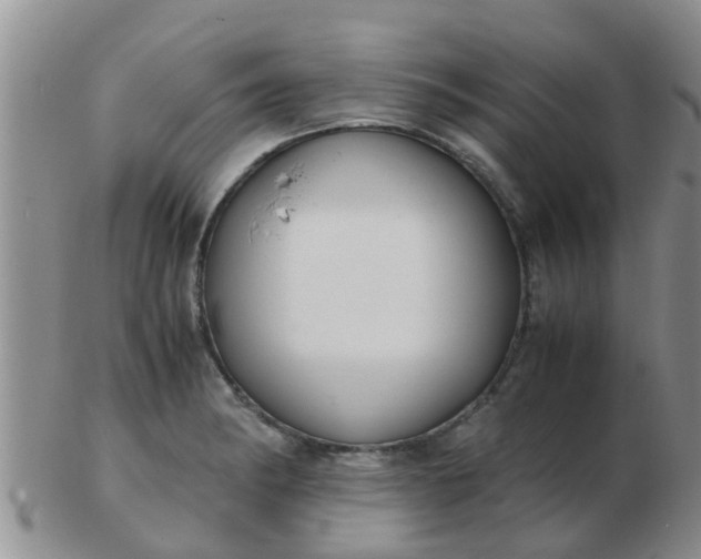 X0000103311182200809122045