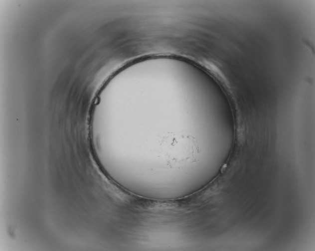X0000103311183200809122045