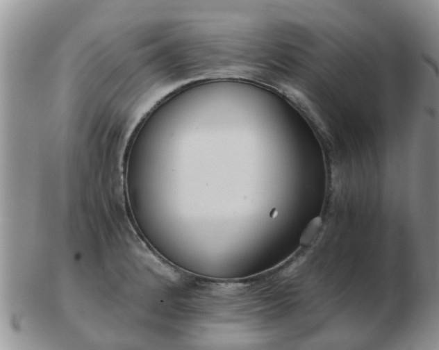 X0000103311184200809122045