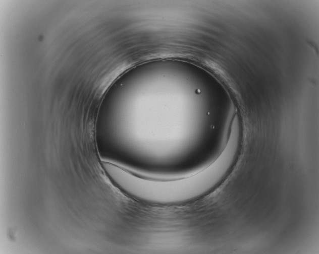 X0000103311185200809122045