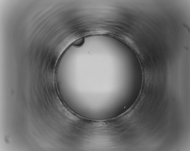 X0000103311186200809122045