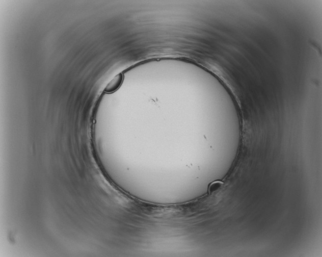 X0000103311187200809122045