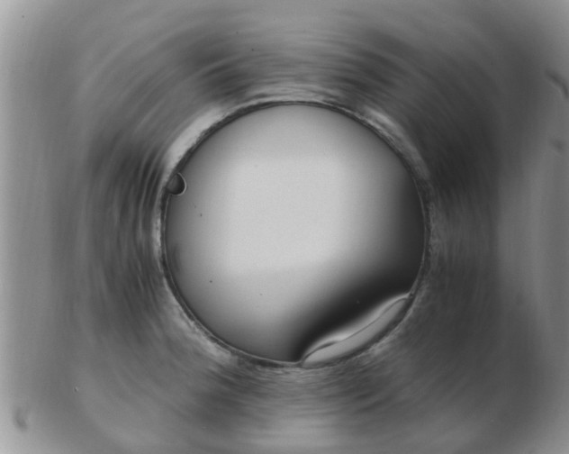 X0000103311188200809122045