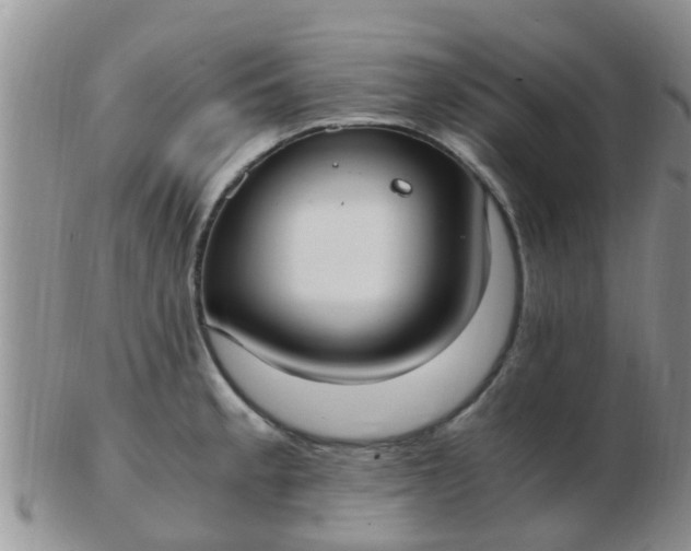 X0000103311189200809122045