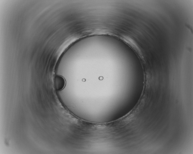 X0000103311190200809122045