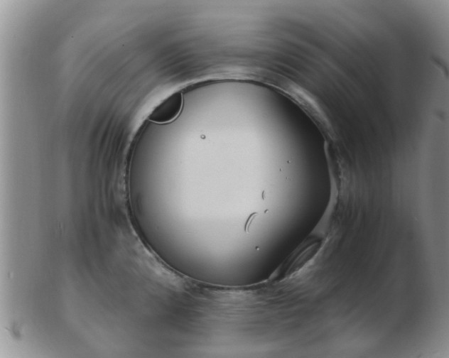 X0000103311192200809122045
