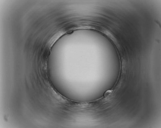 X0000103311193200809122045