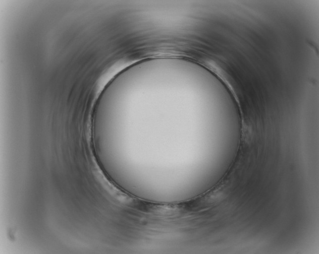 X0000103311195200809122045