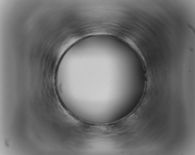 X0000103311197200809122045
