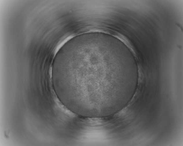 X0000103311198200809122045