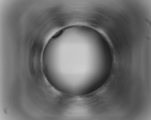 X0000103311199200809122045