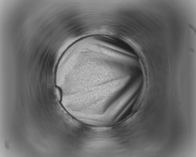 X0000103311200200809122045