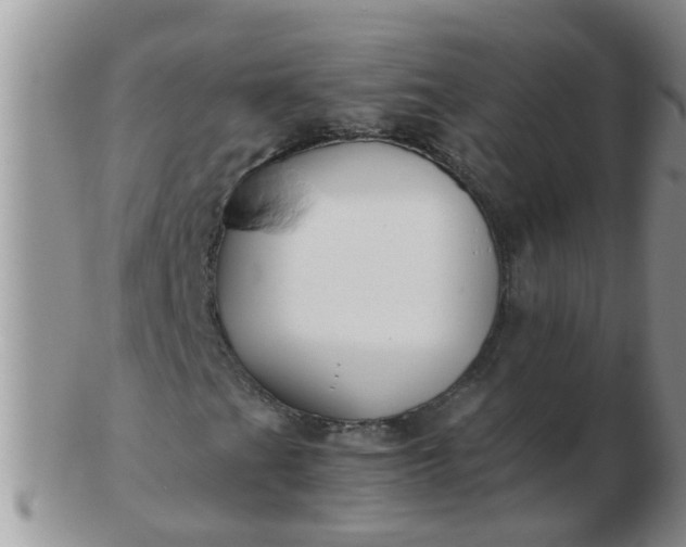 X0000103311201200809122044