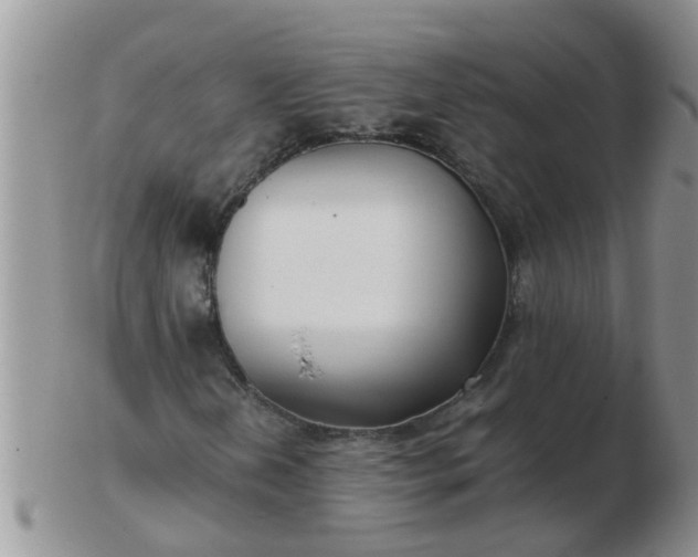 X0000103311202200809122044
