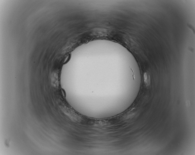 X0000103311203200809122044