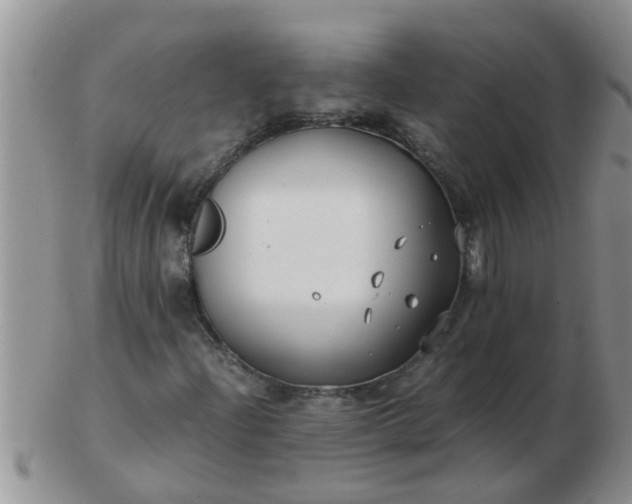 X0000103311204200809122044