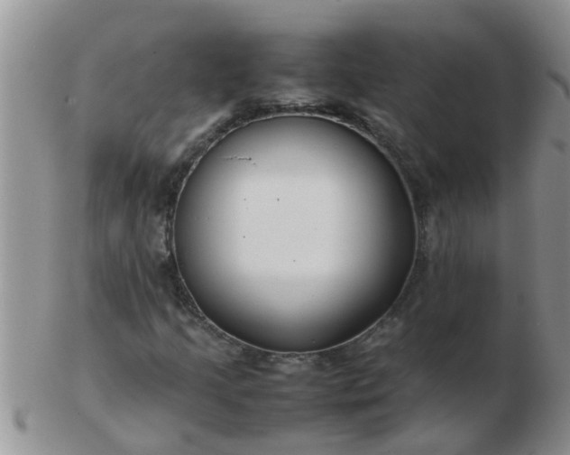 X0000103311205200809122044