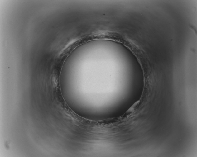 X0000103311206200809122044