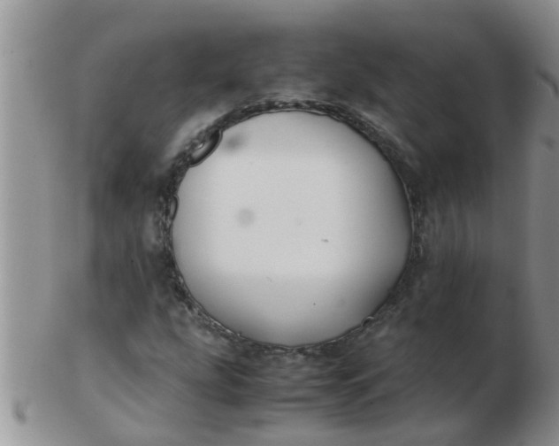 X0000103311207200809122044