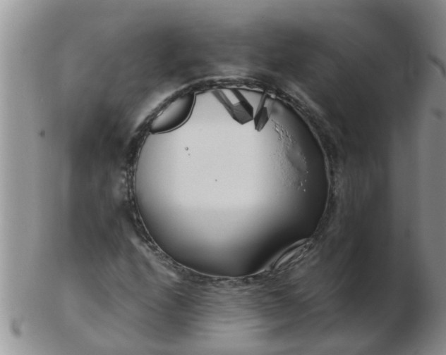 X0000103311208200809122044