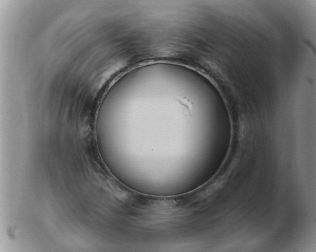 X0000103311210200809122044