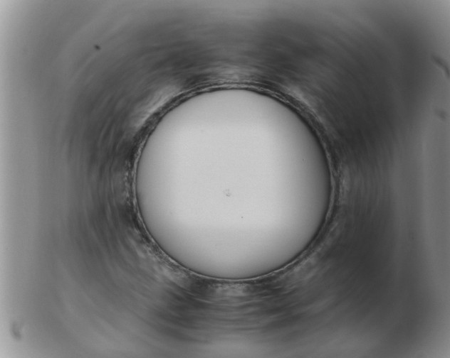 X0000103311211200809122044