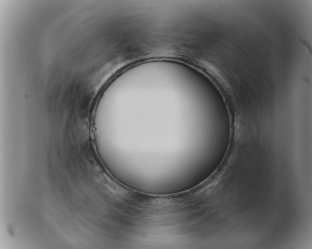 X0000103311212200809122044