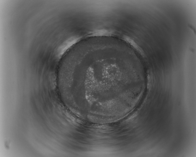 X0000103311213200809122044