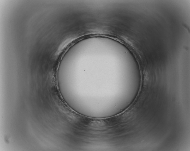 X0000103311215200809122044