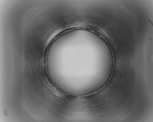X0000103311216200809122044