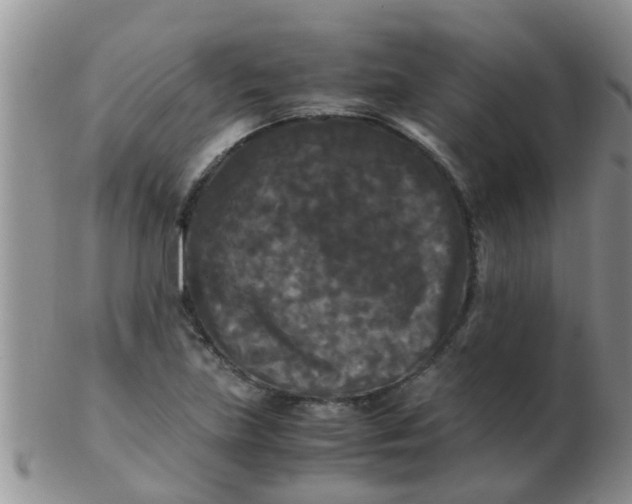 X0000103311219200809122044