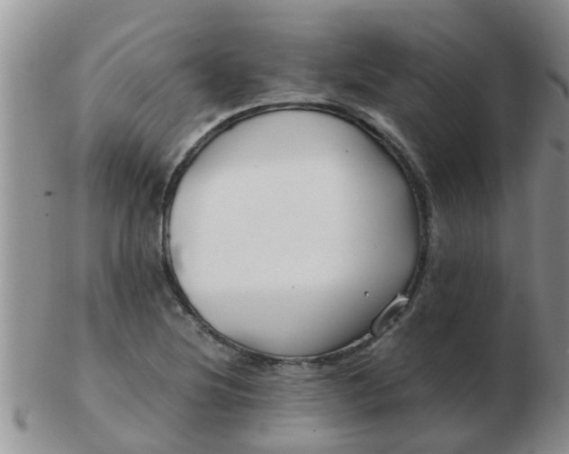 X0000103311220200809122044
