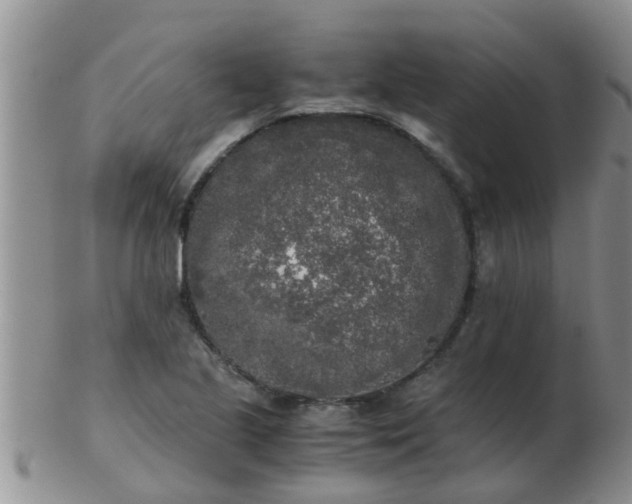 X0000103311221200809122044