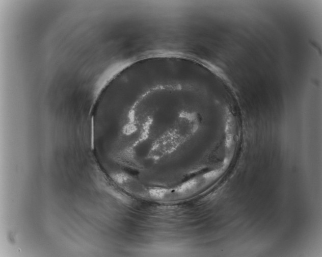 X0000103311223200809122044