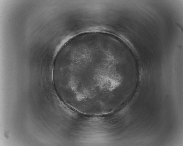 X0000103311224200809122044