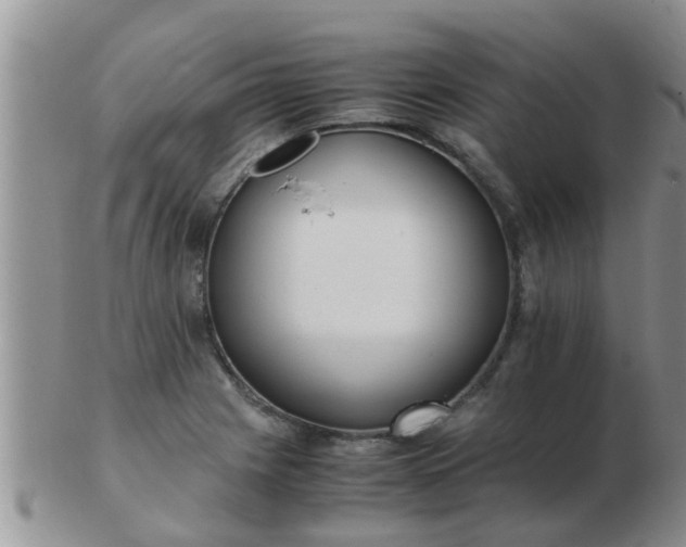X0000103311225200809122044