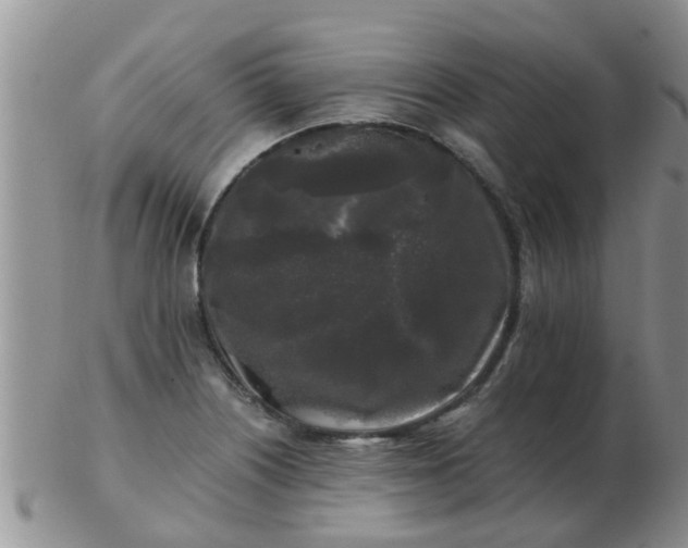 X0000103311226200809122044