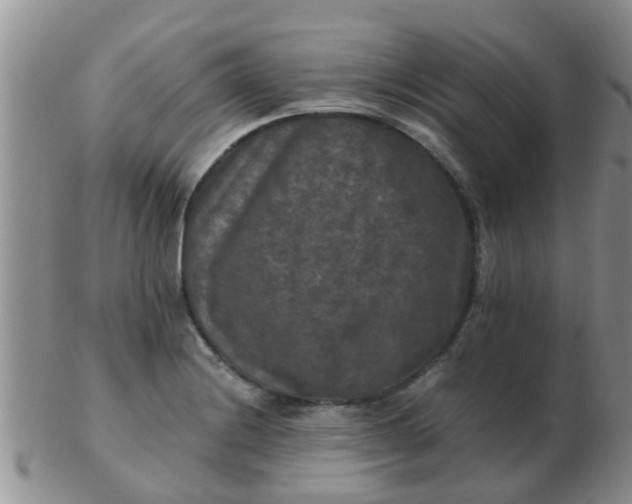 X0000103311228200809122044