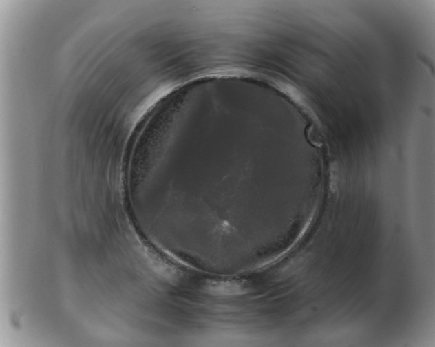 X0000103311229200809122044