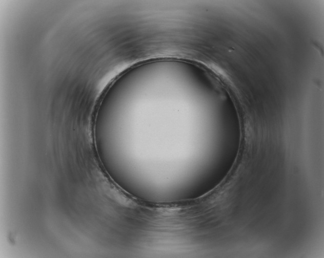 X0000103311230200809122044