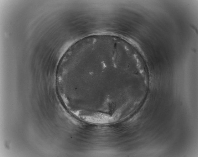 X0000103311231200809122044