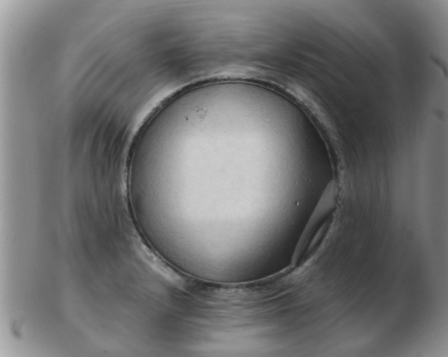 X0000103311232200809122044