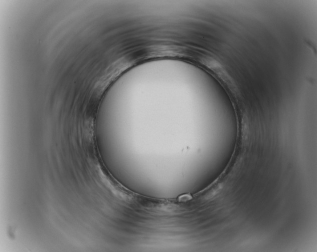 X0000103311233200809122044