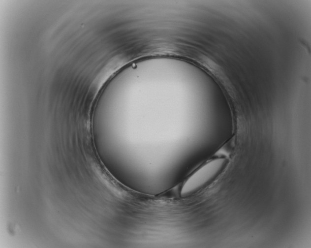 X0000103311234200809122044