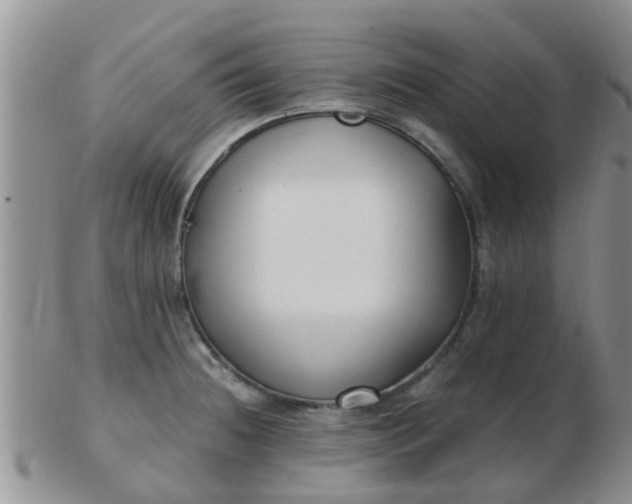 X0000103311236200809122044