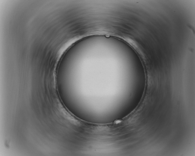 X0000103311238200809122044