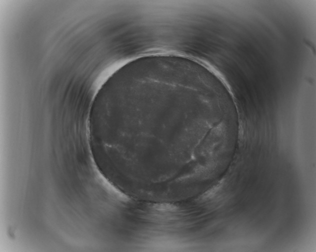 X0000103311239200809122044